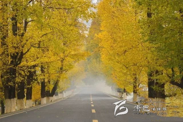 康定新都橋，有一條黃金大道通往夢(mèng)中的天堂