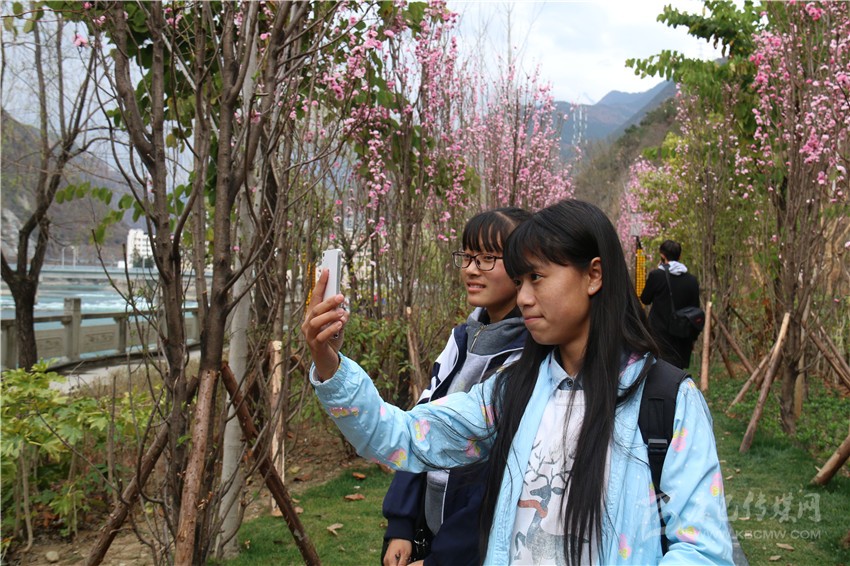 春光俏！“醉”是瀘定春三月，踏青賞花正當(dāng)時