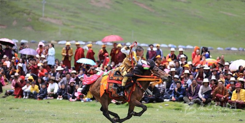 格?；ㄊ㈤_ 牧民馬背上一顯身手