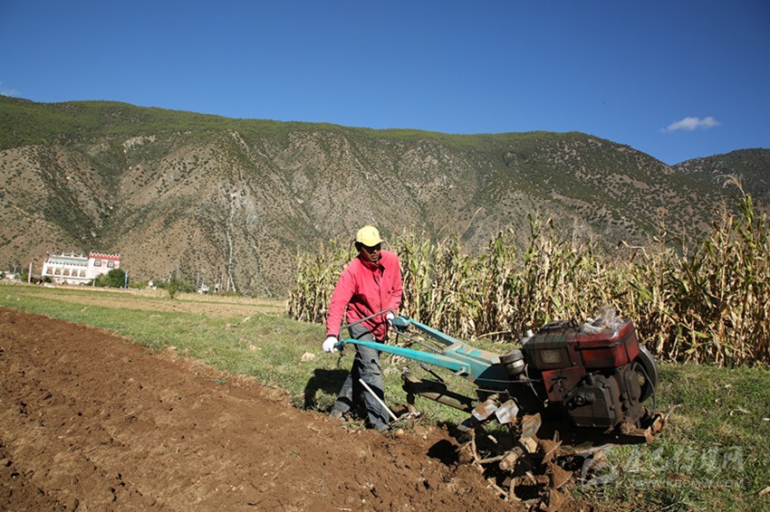 田園藏鄉(xiāng)美如畫，百姓脫貧喜在心