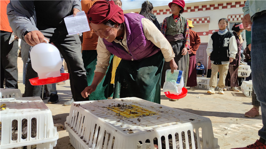 downLoad-20210708083824.jpg downLoad-20210708083824.jpg