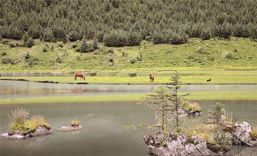 去甘孜 邂逅絕美湖泊海子！