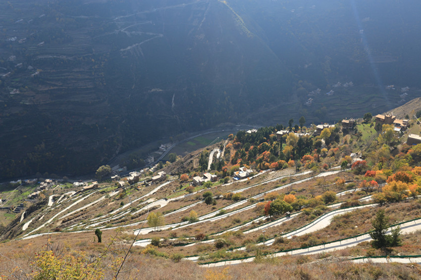 牙科村.jpg 牙科村.jpg